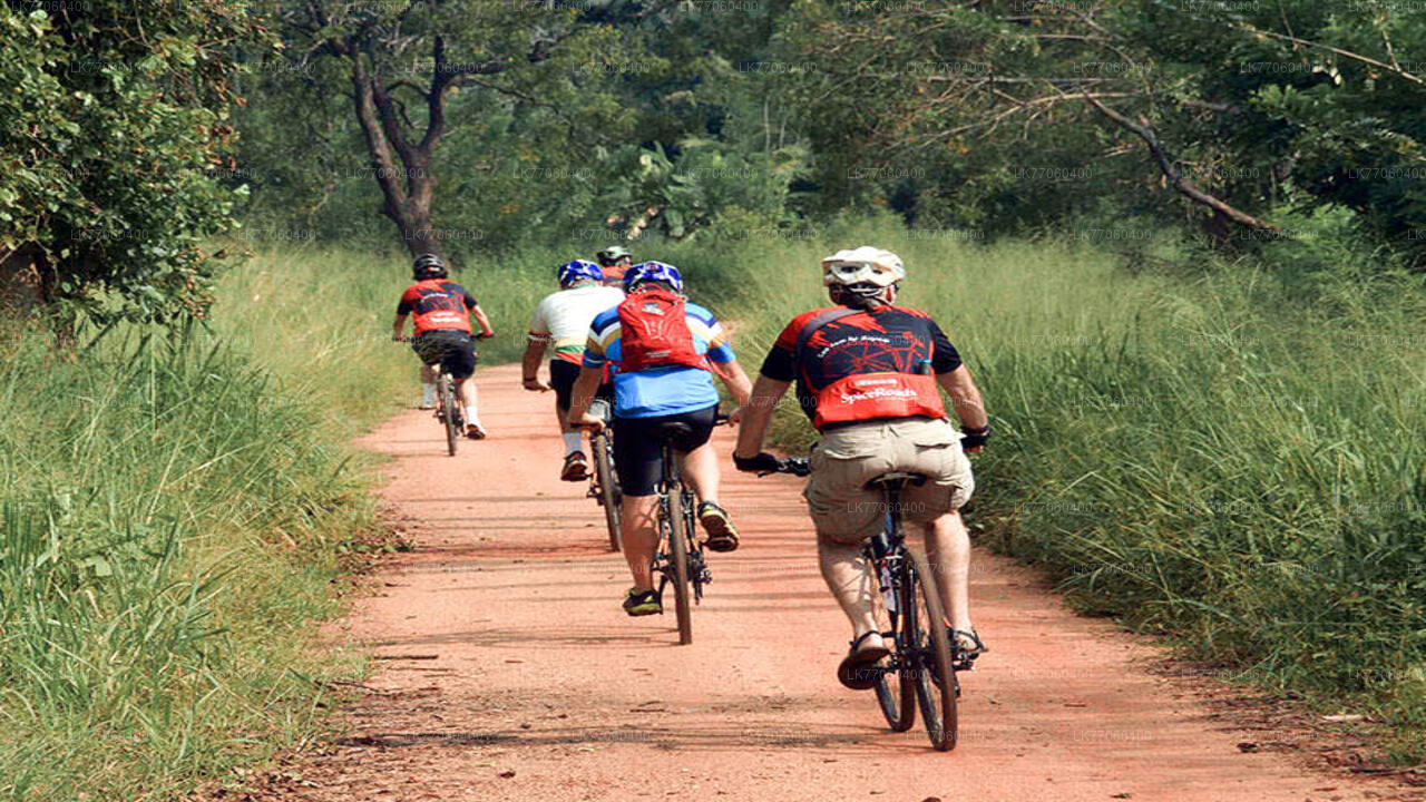 Rajanganaya Village Cycling Tour from Anuradhapura