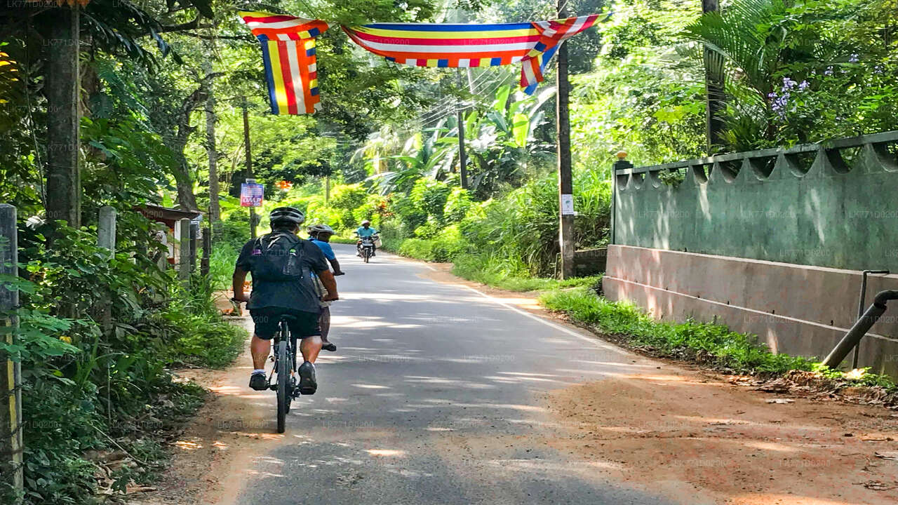 Cycle to Belilena Cave from Kitulgala