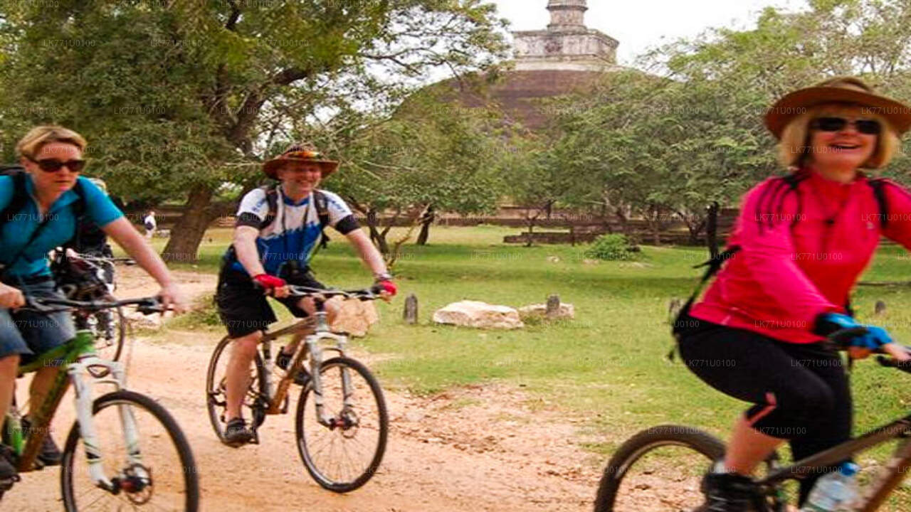 Cycling Through Ancient Ruins from Polonnaruwa