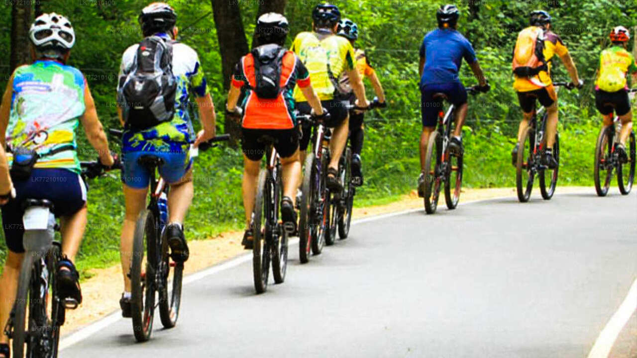 Mulkirigala Cycling Tour from Tangalle