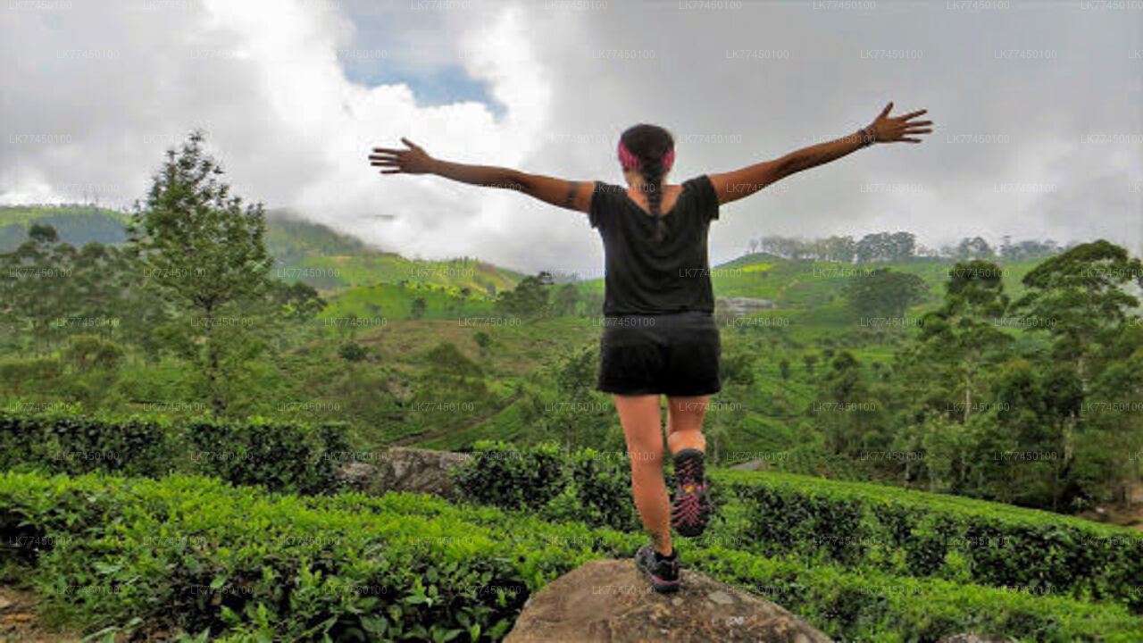 Cycling to Lipton Seat from Haputale