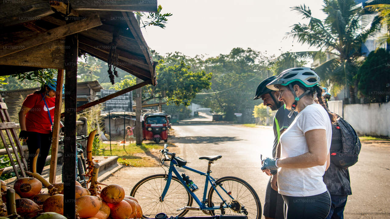 Kingdom Trail Cycling Tour from Mount Lavinia