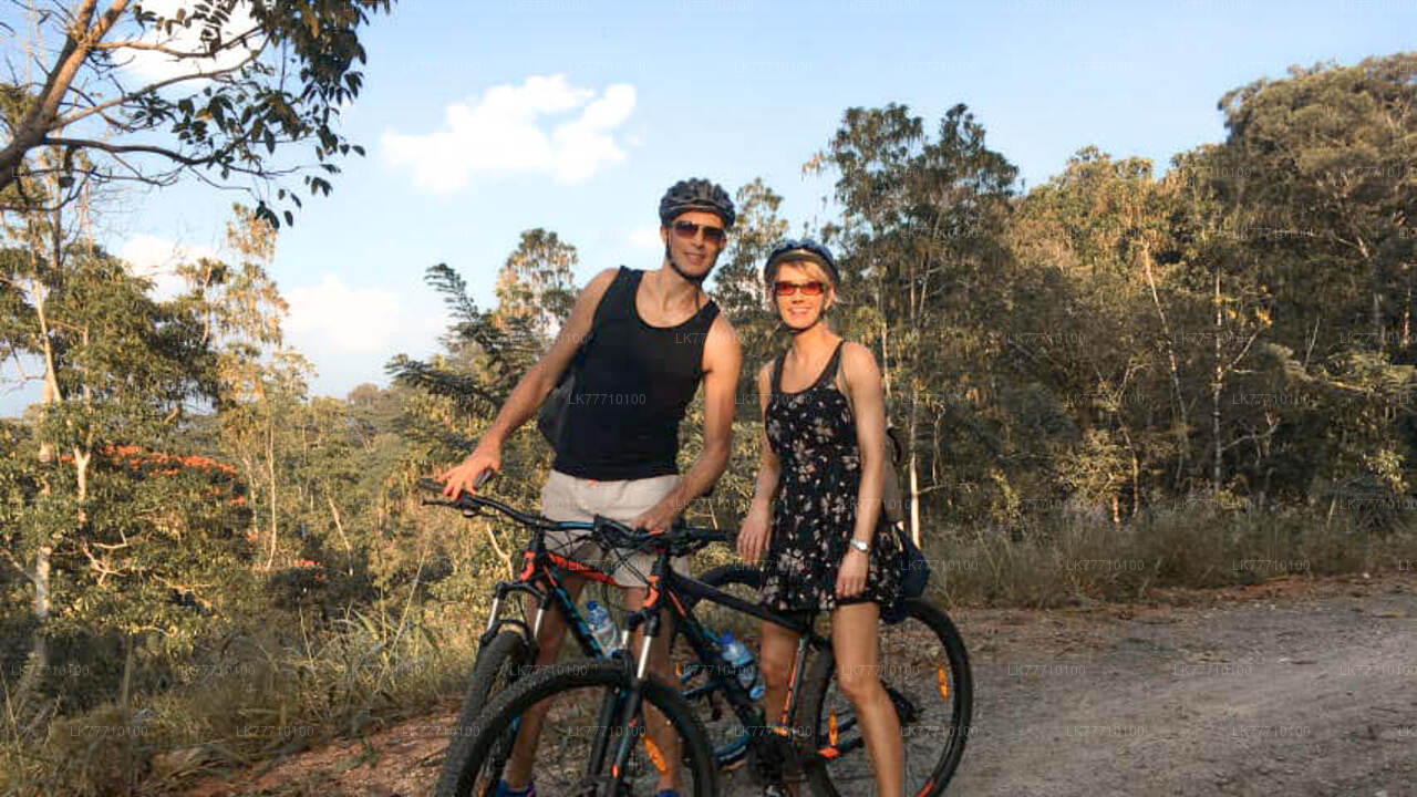 Cycling Adventure from Elpitiya