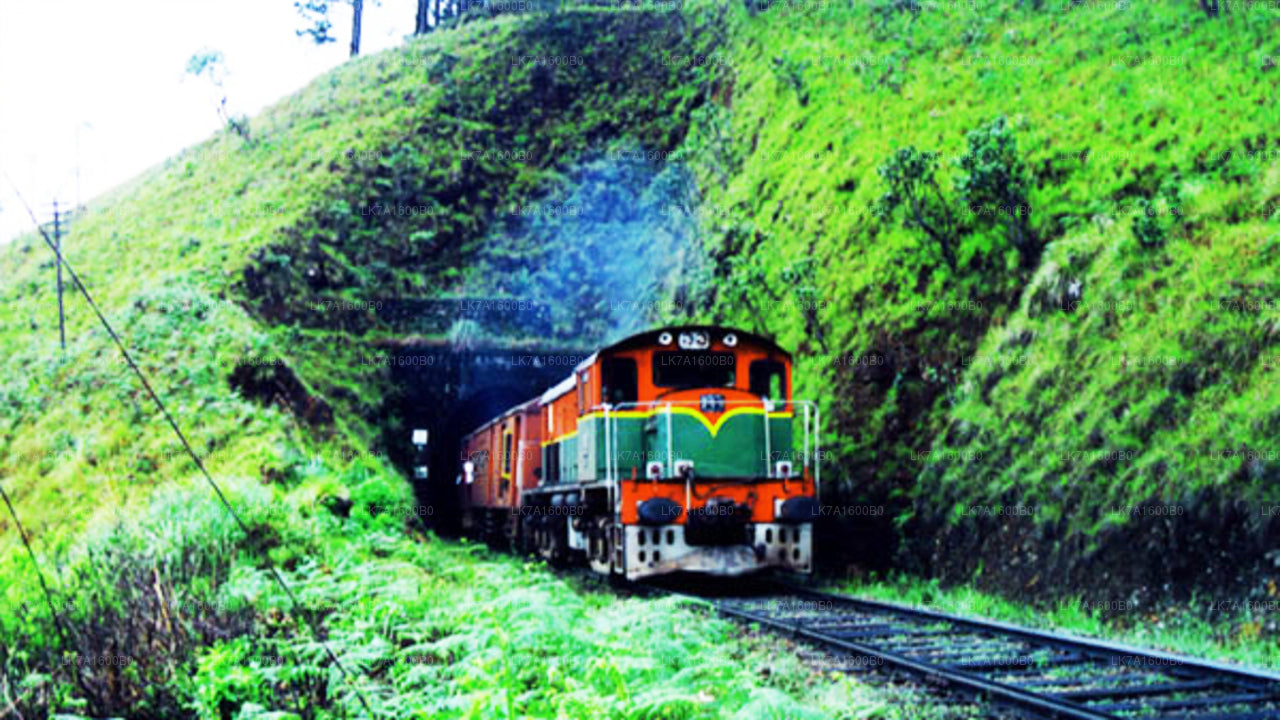 Colombo to Badulla train ride on (Train No: 1015 "Udarata Menike")