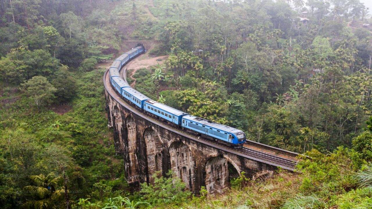 Nanu Oya to Kandy train ride on (Train No: 1006 "Podi Menike")