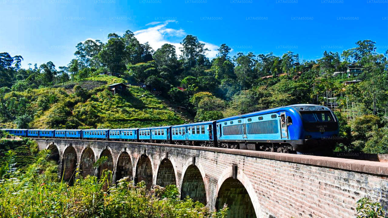 Nanu Oya to Ella train ride on (Train No: 1005 "Podi Menike")