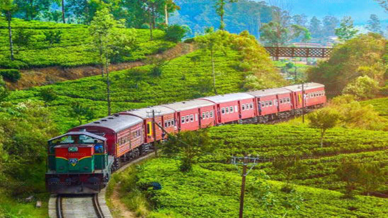 Badulla to Kandy train ride on (Train No: 1016 "Udarata Menike")