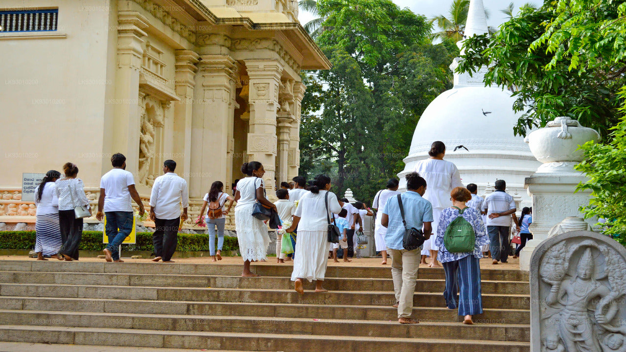 Colombo Buddhist Iconography Experience