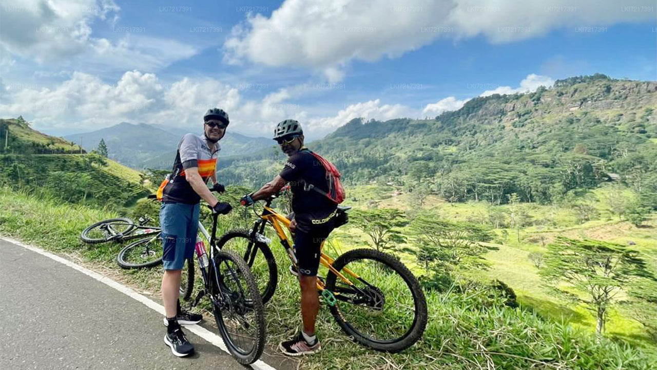 Nuwara Eliya Highlands Cycling Tour from Kandy