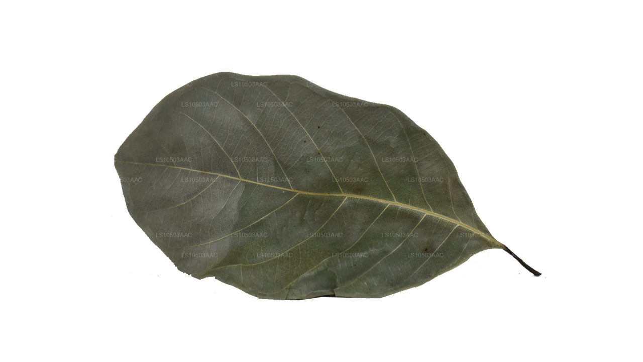 Lakpura Dried Jackfruit Leaves 100% Organic (250g)
