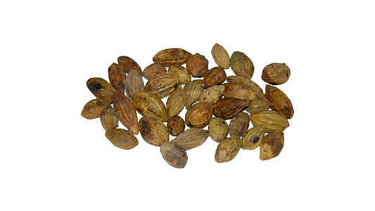 Lakpura Dehydrated Aralu (Terminalia Chebula) Seeds (100g)
