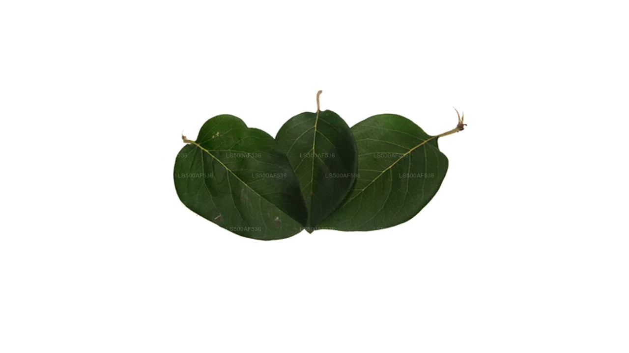 Lakpura Dehydrated Anguna Leaves (100g)