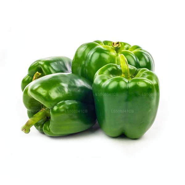 Bell Pepper Green- බෙල් පෙපර් කොළ (100g)