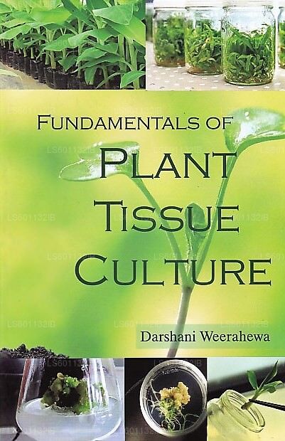 Fundamentals of Plant Tissue Culture