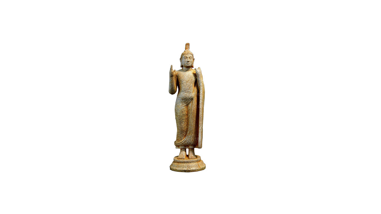 NHRC Standing Buddha Aukana