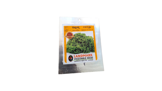 Lettuce (සලාද කොළ – ආනයනික) Vegetable Seeds