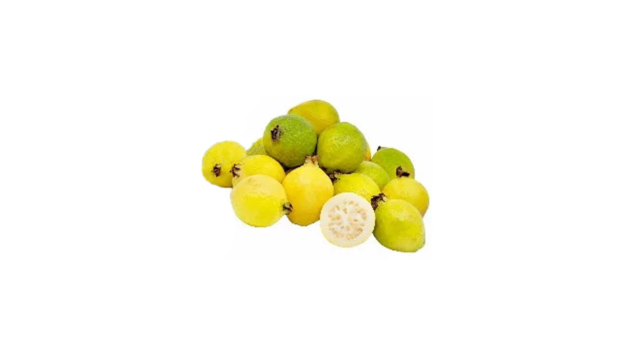 Yellow Chinese Guava (කහ චීන පේර ලේයර්) Fruit Plant