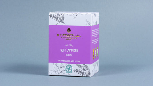 Bogawantalawa Soft Lavender  Tea (40g) 20 Tea Bags